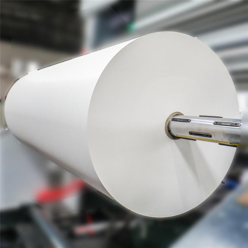 Uncoated Woodfree / Copier / Cup Stock (India)