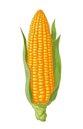 Compostable Bio-Polymer Pellets (Corn-Starch PLA/PBAT)