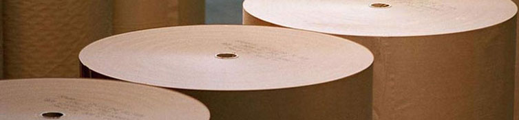 2605191815 Test Liner 2 200–240g 2250mm CFR Guayaquil