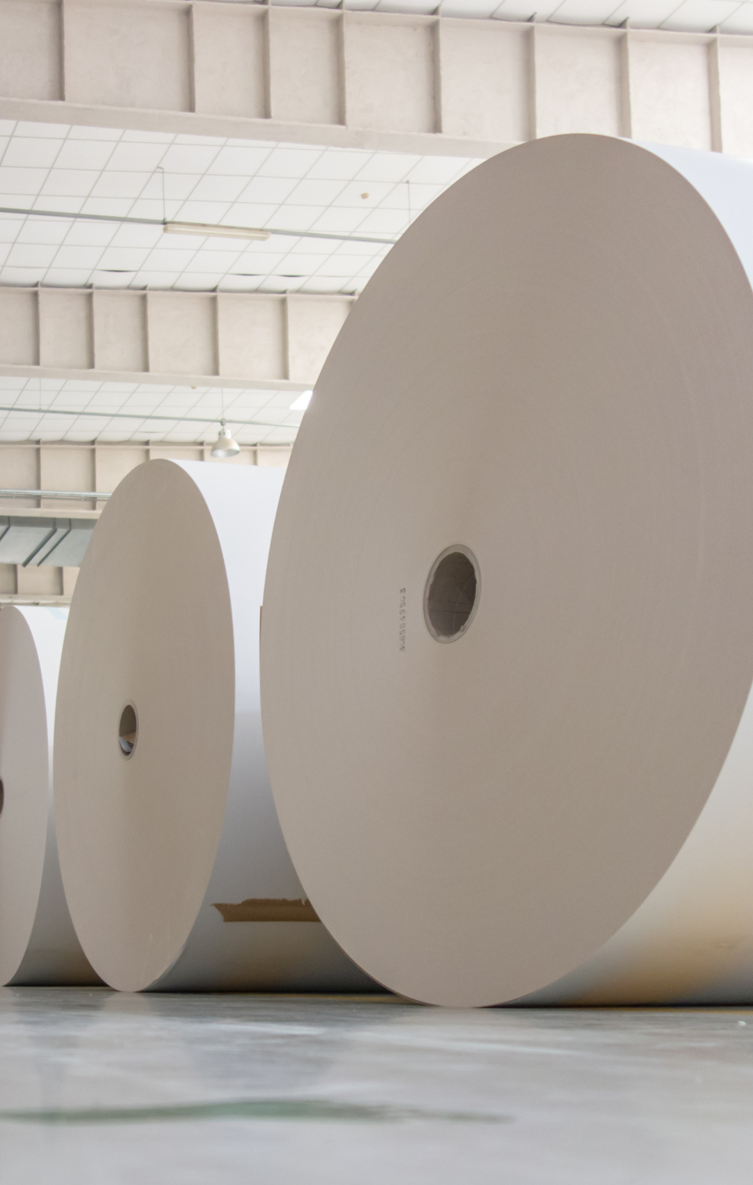 White Top Test Liner Coated